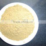 Ginkgo Biloba Leaves Extract thumbnail-1