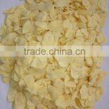 Dehydrated Garlic Slice New Crop in 2014 thumbnail-2