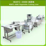 Super Asia Automatic Fruit and Vegetable Cutting Washing Drying Machine thumbnail-1