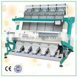 Ccd Color Sorter, Fruit, Vegetable Processing Machine , Dehydrated Onion Vegetable Sorter Machine thumbnail-1