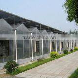 Commercial Greenhouse for Agriculture thumbnail-2