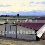 The Wilderness in the Stable thumbnail-5