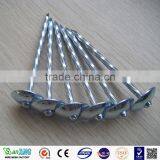 Twist Umbrella Head Galvanized Roofing Nails thumbnail-6
