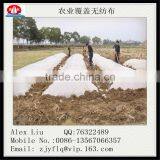 Welded PPSB Non Woven Fabric for Agriculture thumbnail-3