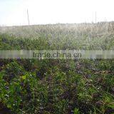 Ground Sprinkler Hose thumbnail-2