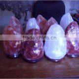 Carved Natural Himalayan Rock Crystal Salt Lamps