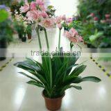 SJ300916 Artificial Indoor Decorative Bonsai Plant With Daffodils Flower thumbnail-3