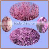 Real Wood Trunk Artificial Cherry Blossom Flower Tree thumbnail-2