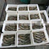 Frozen Cooking Shrimp From Frozen thumbnail-1