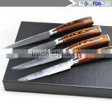 4.5 Inch Steak Knife Japanese VG-10 67 Layers Damascus Premium Steak Knife (4 Sets) thumbnail-4
