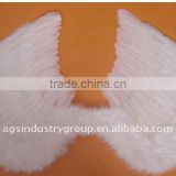 Feather Costume Wing