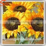 Like as Father's Flower, Refined Sunflower Specification Wholesale thumbnail-3