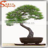 2015 Guangzhou Professional Supplier Make Artificial Pine Bonsai Tree for Sale thumbnail-3
