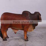 Definitive Brahman Looking Left thumbnail-3