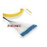 Multi Fiber Optic Patch Cord , SC Singlemode 12 Fiber Trunk Pigtail
