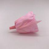 Preserved Real Natural Long Lasting Eternity Roses Head For DIY Forever Flower Box thumbnail-3