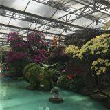 Horticulture Greenhouse for Flower and Plant Production thumbnail-5