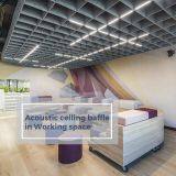 Acoustic Ceiling Baffle in Working Space