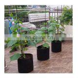 High Quality Plant Grow Bags Felt Fabric Pots With Handles thumbnail-7