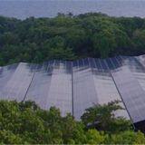 Goldman Sachs Will Enter the PV Industry
