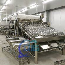 Машинка для сортировки креветок с 12 роликами  Линия по обработке креветок  Китайское оборудование для обработки морепродуктов thumbnail-4