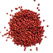 Wholesale Price Sudangrass Seeds Argriculture Hybrid Sorghum Sudan Grass Seed for Sale thumbnail-1