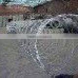 Cross Type Razor Barbed Wire