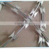 Concertina Wire for Sale