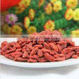 Edible Way and Varied Goji thumbnail-3