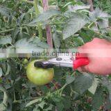 pruning shear