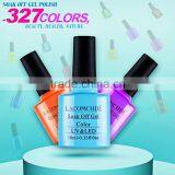 2016 Nail Art Wholesale Gel Polish ,Nail Polish ,Cat Eye UV Gel Nail Polish