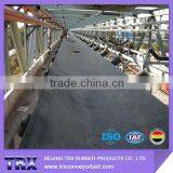 Acid and Alkali Resistant Conveyor Belt/chemical Resistant Conveyor Belt