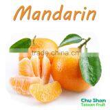 2016 Taiwan Fresh Sweet Mandarin Orange Citrus Fruit thumbnail-1