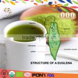 Hot sale 100% natural instant euglena green tea for health & weight loss