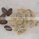 Frozen Cooked Yellow Clam Meat