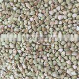 2016 New Crop High Quality Raw Buckwheat Price thumbnail-3