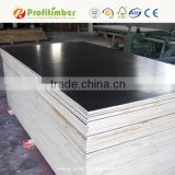Construction & Real Estate 18mm Concrete Form Shuttering Plywood
