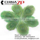 CHINAZP Bulk Sale Selected Prime Quality Colored Mint Green Trimmed Peacock Feathers Eyes for Sale thumbnail-1
