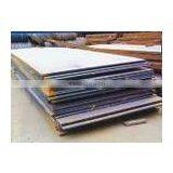 STEEL SHEET thumbnail-1