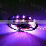 5050 300SMD Waterproof Black LED Light Strip