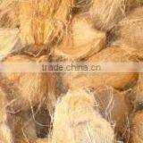 Fresh Coconuts for Cheap Rate thumbnail-2