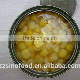 Canned Sweet Corn in Brine 340g*24tins