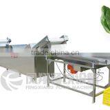 Large Type Vegetable Washing and Cutting Line, Leaf Vegetable Washer Machine Line, Cut Mob/Whatsapp: +86 18281862307 (May Liao) thumbnail-2