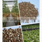 Wholesale bulk expanded vermiculite for hydroponics