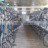 Dairy Automatic Milking Parlour System With Flow Milk Meter thumbnail-3