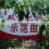 Soluble NPK Chemical Fertilizer 14-6-30 thumbnail-6