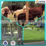 Green Vinyl Coated Welded Wire Mesh Fence thumbnail-2