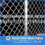 50mm Opening Hot Dipped Galvanized Chain Link Fence thumbnail-5