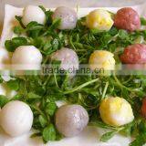 High Quality Automatic Color Fish Ball Moulding Machine thumbnail-1