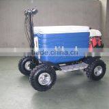 50CC MINI MOTOR SCOOTER(SX-G110) thumbnail-1
